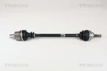 Triscan A/S 8540 25593
