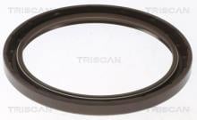 Triscan A/S 8550 10080