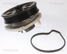 Triscan A/S 8600 10087