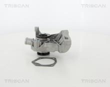 Triscan A/S 8600 29036HD
