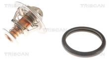 Triscan A/S 8620 10691