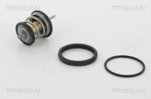Triscan A/S 8620 31795