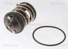 Triscan A/S 8620 43287