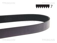 Triscan A/S 8640 701570