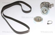Triscan A/S 8642 10069