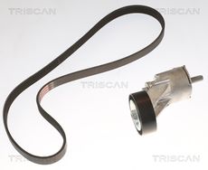 Triscan A/S 8642 10071