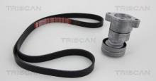 Triscan A/S 8642 24004