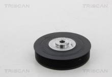 Triscan A/S 8643 25002