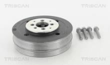 Triscan A/S 8643 29004A