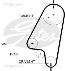 Triscan A/S 8645 5310xs