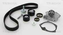 Triscan A/S 8647 250013
