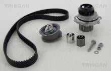 Triscan A/S 8647 290507