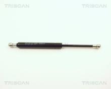 Triscan A/S 8710 1010