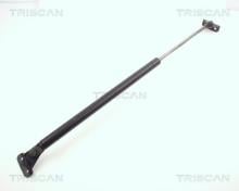 Triscan A/S 8710 10202