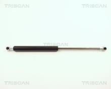 Triscan A/S 8710 11106