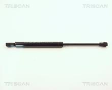 Triscan A/S 8710 11107