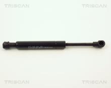 Triscan A/S 8710 11219