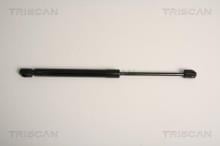 Triscan A/S 8710 11234