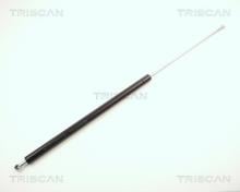 Triscan A/S 8710 12101