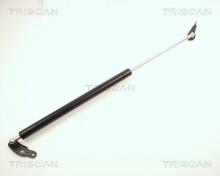Triscan A/S 8710 13231