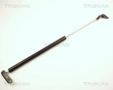 Triscan A/S 8710 13237