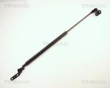Triscan A/S 8710 14202