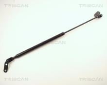 Triscan A/S 8710 14203
