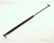 Triscan A/S 8710 14213