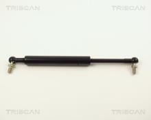 Triscan A/S 8710 14216