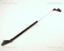 Triscan A/S 8710 14217