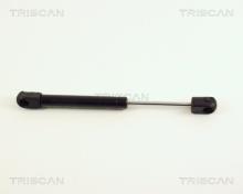 Triscan A/S 8710 16211