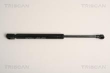 Triscan A/S 8710 17213