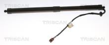 Triscan A/S 8710 17303