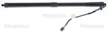 Triscan A/S 8710 17304
