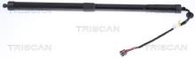 Triscan A/S 8710 17305