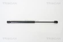 Triscan A/S 8710 18101