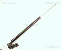 Triscan A/S 8710 18202