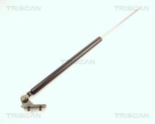 Triscan A/S 8710 18203