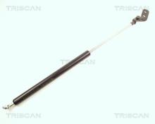 Triscan A/S 8710 18206