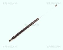 Triscan A/S 8710 21202