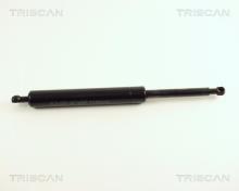 Triscan A/S 8710 23207