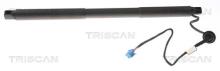 Triscan A/S 8710 23304
