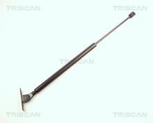 Triscan A/S 8710 24101