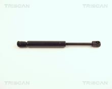 Triscan A/S 8710 24102