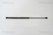 Triscan A/S 8710 24105