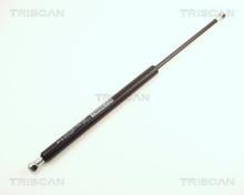 Triscan A/S 8710 24207