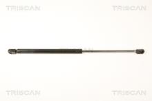 Triscan A/S 8710 24237