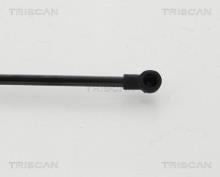 Triscan A/S 8710 24254