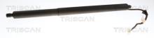 Triscan A/S 8710 24301