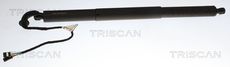 Triscan A/S 8710 24306